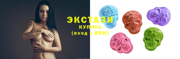 ECSTASY Бородино